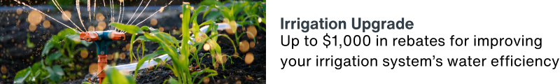 Up to $1000 in rebates for improving your irrigation system's water efficiency.