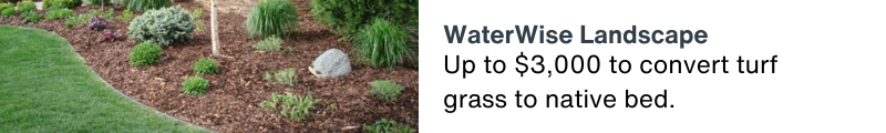 Up to $3000 to convert turf grass to native bed.