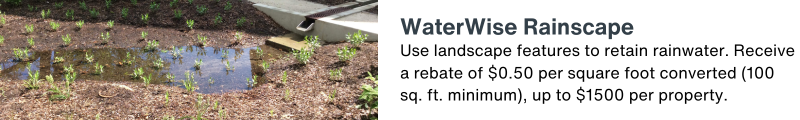 Use landscape features to retain rainwater. Receive a rebate of $0.50 per square foot converted (100 sq. ft. minimum), up to $1500 per property.